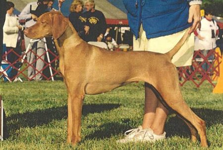 Image of Legacy's Magic Moments