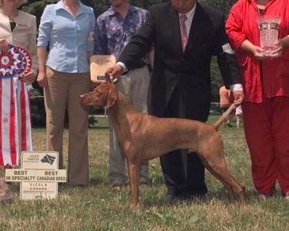 Image of Kivalo Tavasz Aldas