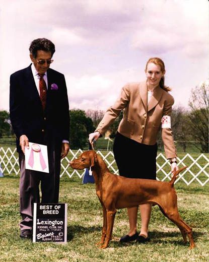 Image of Classic Red Hot Chile