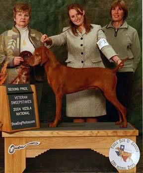 Image of Classic Red Hot Chile