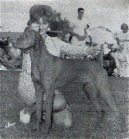 Image of Sandor Barat