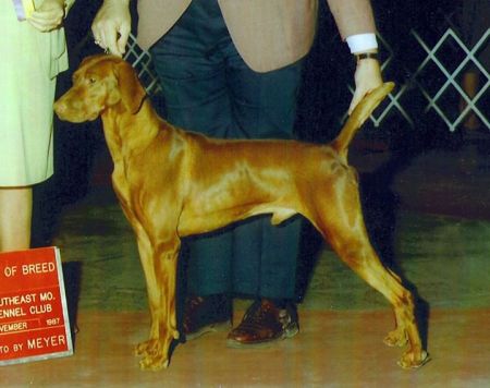 Image of Rebel Bey Of Bethwood