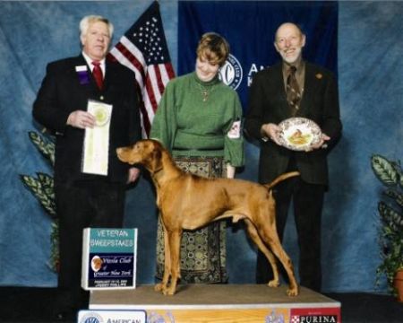 Image of Krown's Tickle Me Elmo