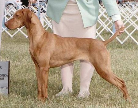 Image of Strider's Seven Of Nine