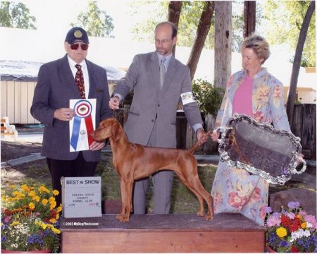 Image of Russet Leather Sacajawea III