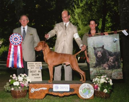 Image of Russet Leather Wild Bill Cody