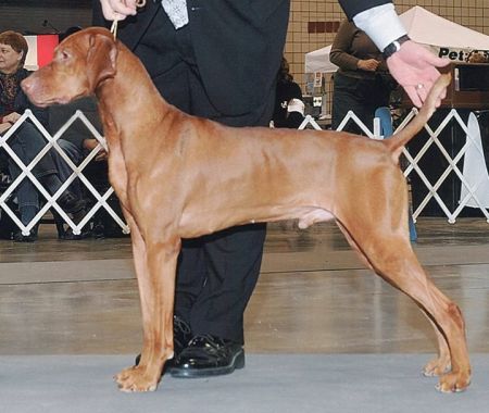 Image of Hi-Weyer Tokaji Aszu'