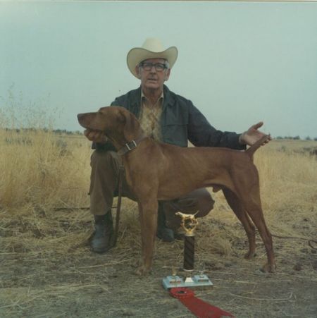 Image of Arco's Arco