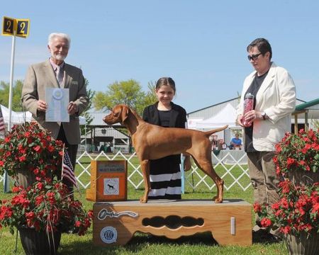 Image of Kizmar Doran Only Th' Ice Breaker