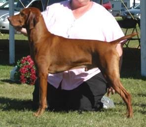 Image of Szizlin's Hold Yer Fire