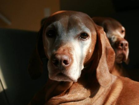 Image of Keystone Clozing Thyme At Red River