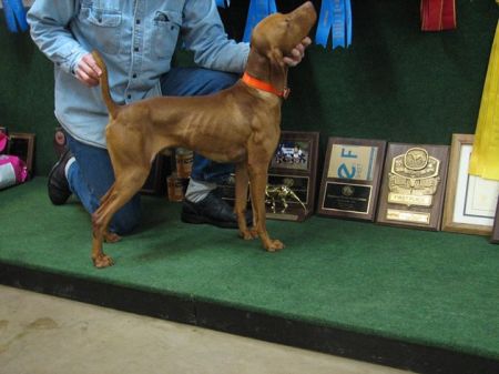 Image of Shiloh's Forgiveness