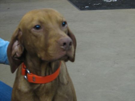 Image of Shiloh's Forgiveness