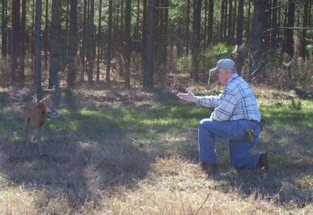 Image of Diamond Lake Caesar