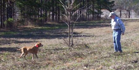 Image of Diamond Lake Caesar