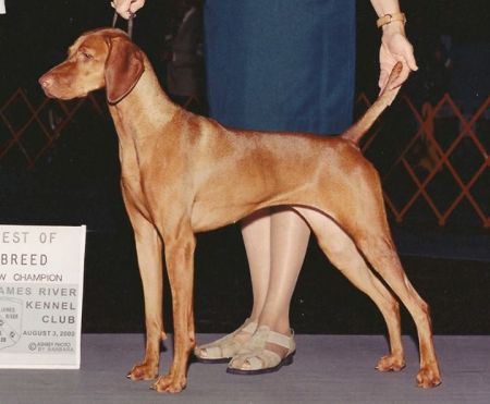 Image of Legacy's Sportsfan-Ci