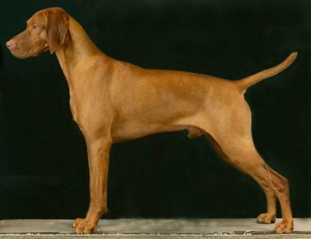 Image of Kyllburg N Woodland's Jazz And Blues