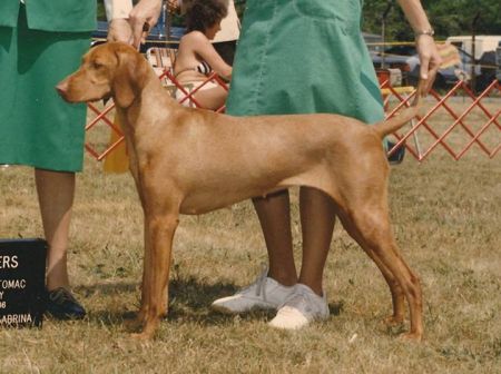 Image of Mrs Princess Rosey Posey