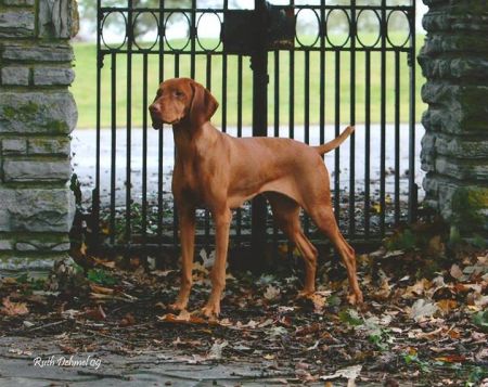 Image of Heartsong Closing Argument