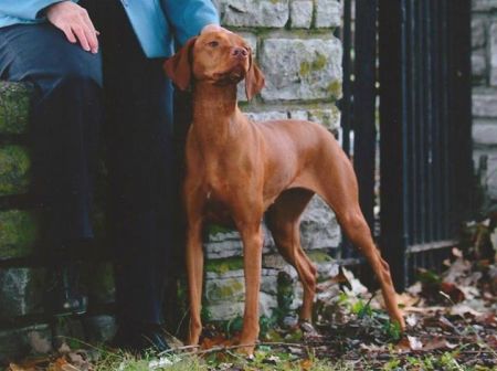 Image of Heartsong Cmf Prairie Fire