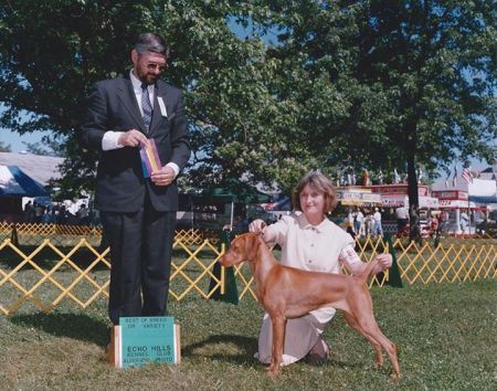 Image of Prairie Heartsong