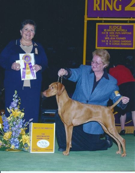 Image of Prairie Heartsong