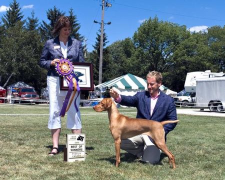 Image of Comynara Vihar Iranya