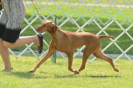 Image of Heartsong Cmf Read The Footnotes