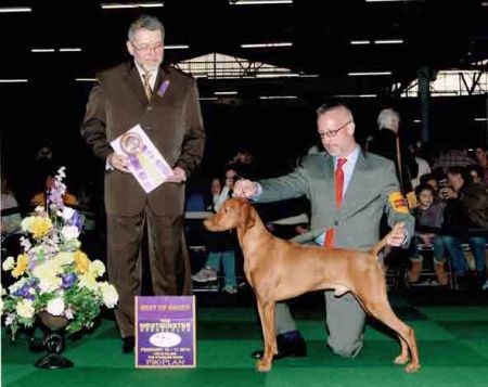 Image of Tamaron's Tag You're It