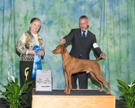 Image of Tamaron's Tag You're It