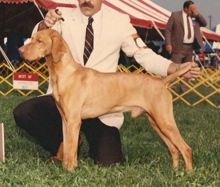 Image of Chester Abbott Macho Man