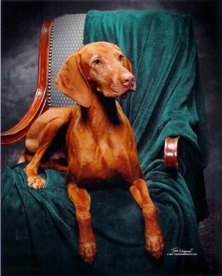 Image of Mehagian's Tamaron Tarika