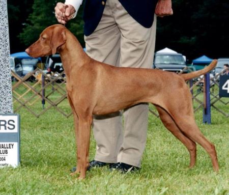 Image of Szizlin Pinch Me I'm Dream'n