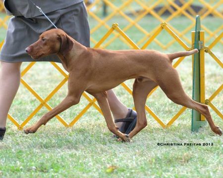 Image of Heartsong Mc'Question Authority