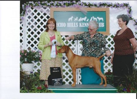 Image of Heartsong Mc'Question Authority