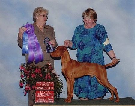 Image of Russet Leather Wild Sundance