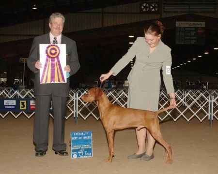 Image of Lagniappe Sir Ruger Huntmore