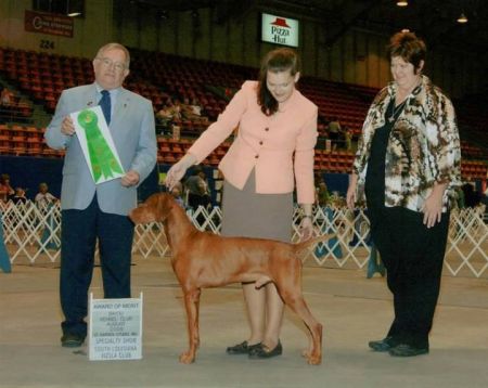 Image of Lagniappe Sir Ruger Huntmore