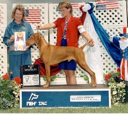 Image of Stonepointe's Thunderheart