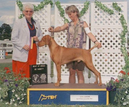 Image of Stonepointe's Thunderheart