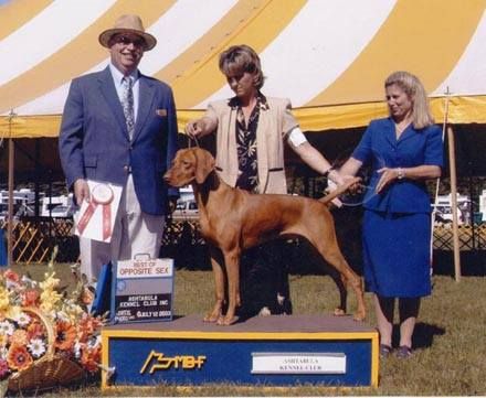 Image of Stonepointe's Thunderheart