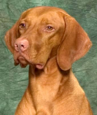 Image of Stonepointe Final Voyage