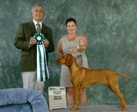 Image of Gardenway Lienroc Beatrice