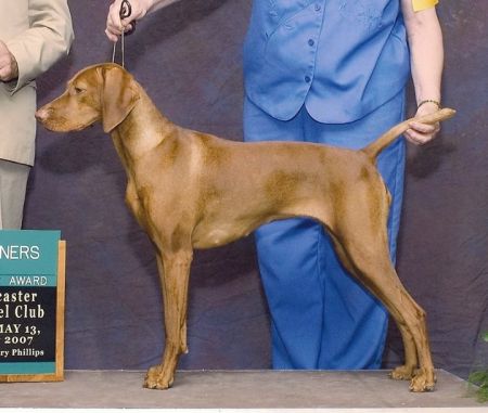 Image of Legacy's Lenna Rez