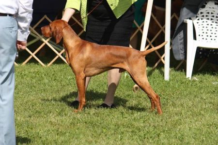 Image of Lienroc Fair Winds For Sail'n