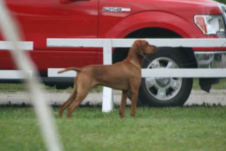 Image of Lienroc Just By Chance