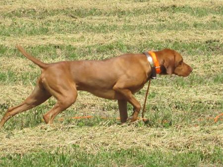 Image of Lienroc Just By Chance