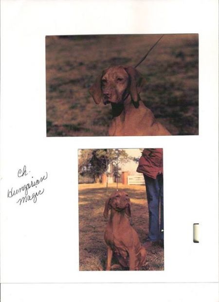 Image of Hungarian Magic