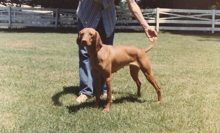 Image of Rains Clarity Of Bethwood