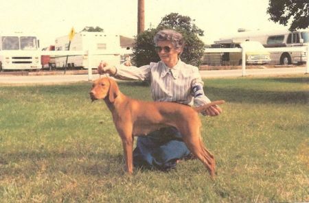 Image of Rains Clarity Of Bethwood